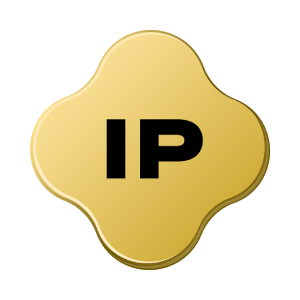 IP icon