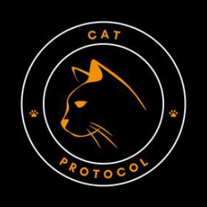 OPCAT icon