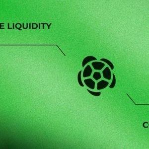 Introducing Turtle Club: Boost Your Yields with Collective Liquidity Power