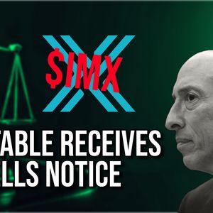 IMX Token Plummets After Immutable Receives Wells Notice