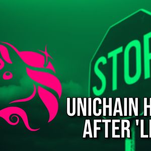 Unichain Halted After Early Developer Access Gets Leaked