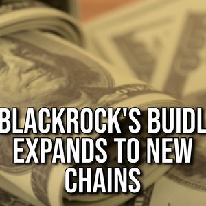 Blackrock Launches BUIDL on Five New Blockchains