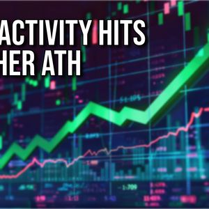 Base Tokens Rebound as Chain Activity Hits All-time High