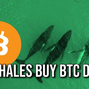 Bitcoin Nears $100,000 as Whales Snap Up $1.5 Billion