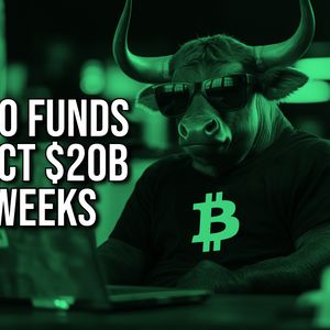 Crypto Funds Attract Record $20.3 Billion in Inflows Over 10 Weeks