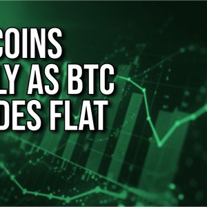 Altcoins Rally as Bitcoin Flounders on Christmas Eve