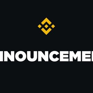 Binance Suspends TROY Deposits on BSC Due to Potential Security Issue with BEP20 Token Contract