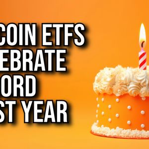 Spot Bitcoin ETFs Celebrate One Year Anniversary After Record Year