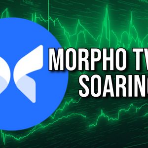 Morpho TVL Up 150% Since its Token Launch