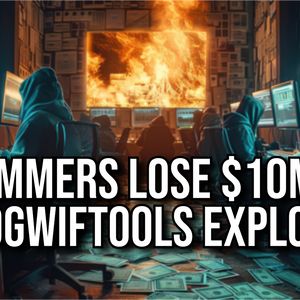 Scammers Get Scammed as DogWifTools Gets Exploited for $10 Million