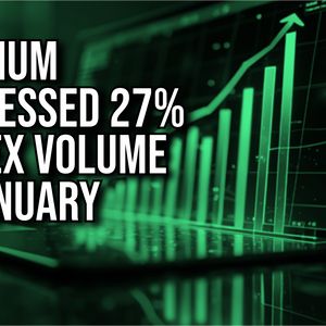 Raydium Monthly Volume Surpassed Uniswap for the First Time in January