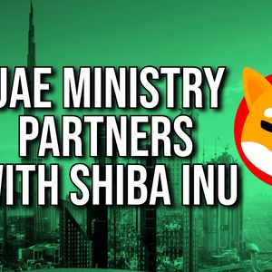 UAE Embrace Shiba Inu as Web3 Project Platform