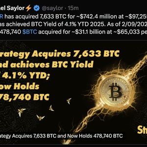 Michael Saylor's Strategy Buys 7,633 Bitcoins at $97,255 Each, Total Holdings Now 478,740 BTC