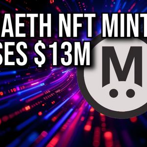 MegaETH Raises Over $13 Million From Fluffle NFT Mint