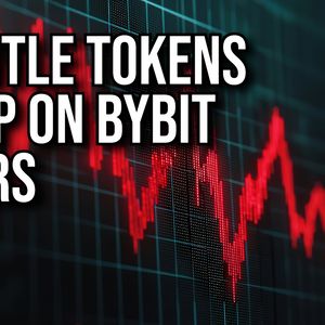 Mantle Ecosystem Tokens Drop on Bybit Contagion Concerns