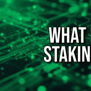 What is Staking Crypto: Everything You Need To Know in 2025