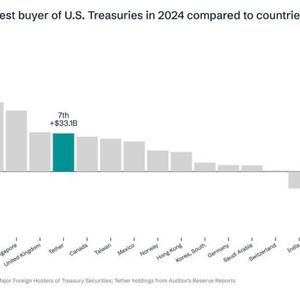 Tether Becomes Seventh Largest Buyer of U.S. Treasuries in 2024, Holding $33.1 Billion