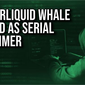 Hyperliquid Whale Outed as Serial Scammer