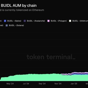 BlackRock's BUIDL Fund Puts $2.7B on Ethereum as Stablecoins Hold 0.5% of US Debt, Solana Hits $13.1B