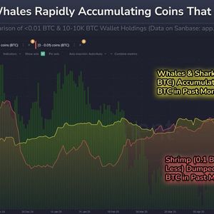Bitcoin Illiquid Supply Hits Record $1.4 Billion with 83,105 BTC Accumulated by Whales in Largest 30-Day Increase