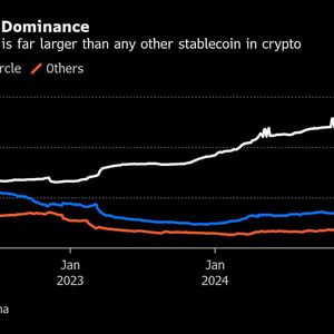 Crypto’s $205 Billion Stablecoin Market Set to Go Mainstream