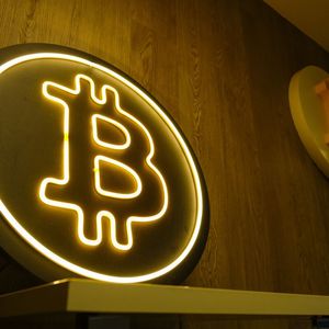 Bitcoin Network Activity Slows While Price Lingers Near Highs