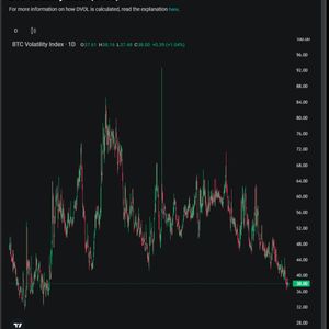 Bitcoin’s Original Appeal Fades With Volatility at 2-Year Low