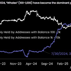 The Great Bitcoin Power Shift Has Large Holders Dumping 500,000 Coins