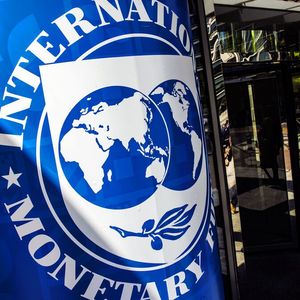 IMF Warns on Financial Stability Risks From Stablecoin Market
