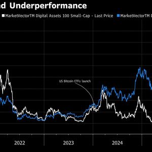 Crypto’s Riskiest Coins Plummet to Lows Not Seen Since Pandemic