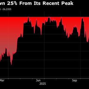Vanguard Equity Quant Says Bitcoin Still a ‘Digital Labubu’ Toy, For Now