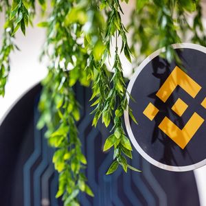 Binance Australia Entity Fined for Misclassifying Retail Clients