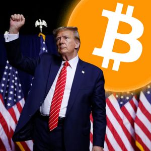 Best Crypto To Buy Now Before Donald Trump’s Inauguration