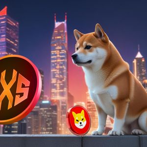 Key Metrics Indicate a 300% Surge for Shiba Inu, While This SHIB Competitor Aims for a 4800% Increase