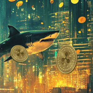 On-Chain Data Indicates Solana (SOL) Whales Are Heavily Investing in This Altcoin Dubbed the New XRP