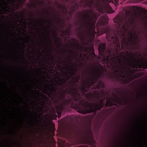 Sonex Secures $1M in Seed Funding to Enhance AI-Powered DeFi on Soneium