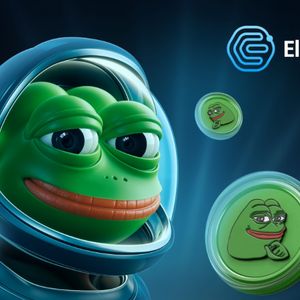 Don't Let Pepe Distract You: Here's Why Elluminex Should Be On Your 2025 Buy List