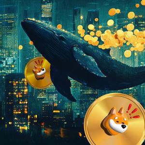 Three Essential Crypto Assets to Hold in January 2025: Bonk, Dogecoin, and Remittix