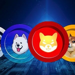 Shiba Inu Updates, Pepe Forecast & Panshibi: What’s Behind the New Viral Meme Coin?