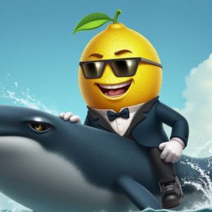 Why Are Crypto Whales Moving Away from DCOIN & MANTRA for This $1M GambleFi Presale?