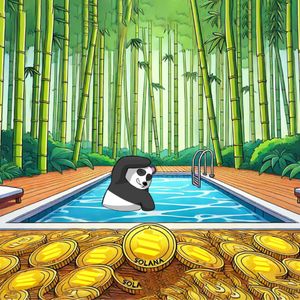 Exploring Solana's Rise and the Global Buzz Around the Panshibi Meme Coin