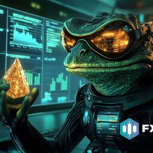 Unveiling the Potential of FXGuys: A New Contender in the Crypto Arena