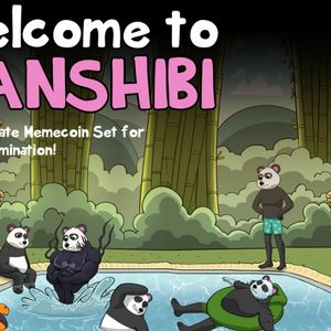 Investor Excitement Grows as Panshibi Secures $1 Million, While Dogecoin Faces Uncertain Future