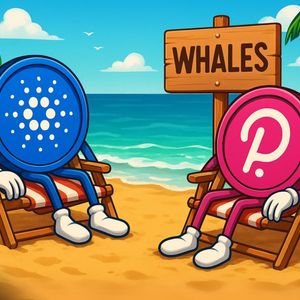 Cardano & Polkadot Whale Accumulation Spikes – Are We About to See a Bullish Pattern Repeat?
