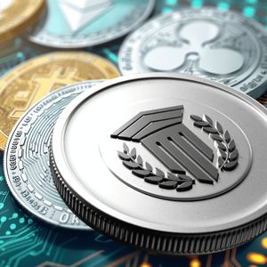 The Rise of Mutuum Finance: A Closer Look at Its Unprecedented Wallet Growth and Future Potential