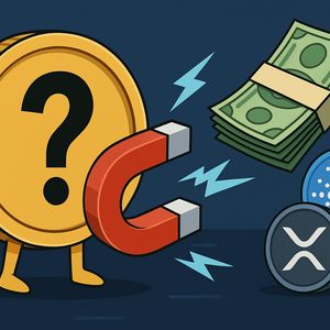 The New Money Magnet: Why Crypto Traders Are Ditching ADA and XRP for These Underdog Cryptos