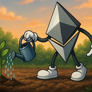 The Top 3 Ethereum Layer-2 Solutions to Bet On for Long-Term Growth