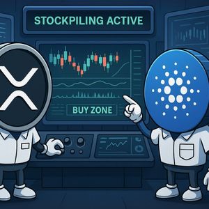 Ripple and ADA Find Key Support Floors - Decode Why Professional Traders Are Stockpiling XRP and Cardano