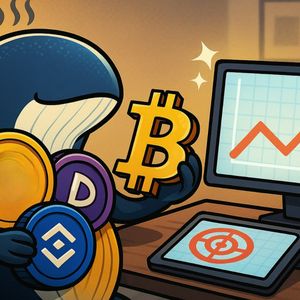 MAJOR Whale Activity | 4 Altcoins Being Hoarded During Selloff
