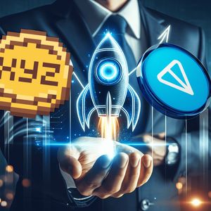 Exploring the Potential of XYZepe's Meme Coin in the Sports Arena